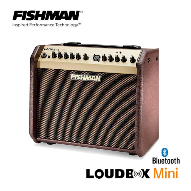Fishman Loudbox Mini BT / 피쉬맨 블루투스 어쿠스틱 기타앰프