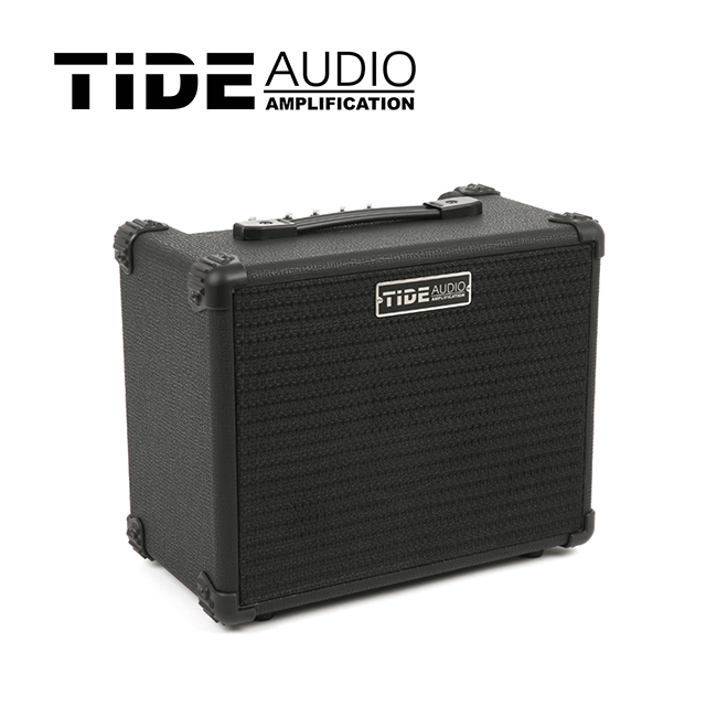 Tide Audio - Tide ONE B / 15와트 베이스 앰프